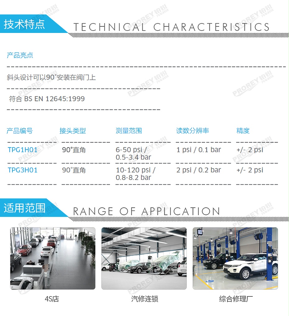 GW-110050062-PCL TPG1H01 胎壓尺-2